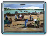 les goemoniers hst146x114